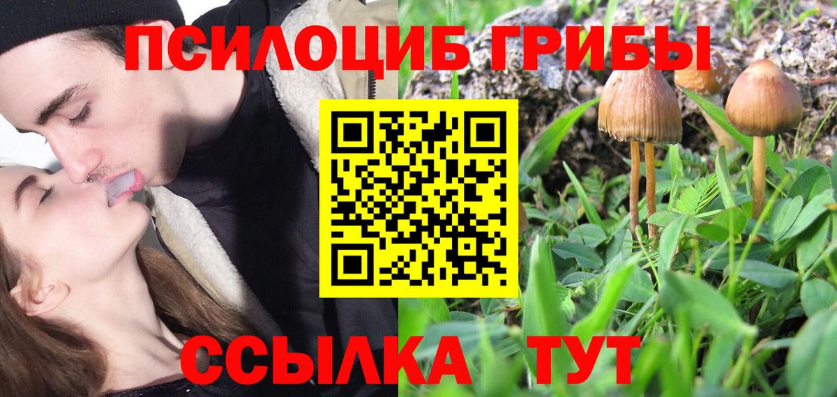 Галлюциногенные грибы Psilocybe  Вход с VPN  Сочи 